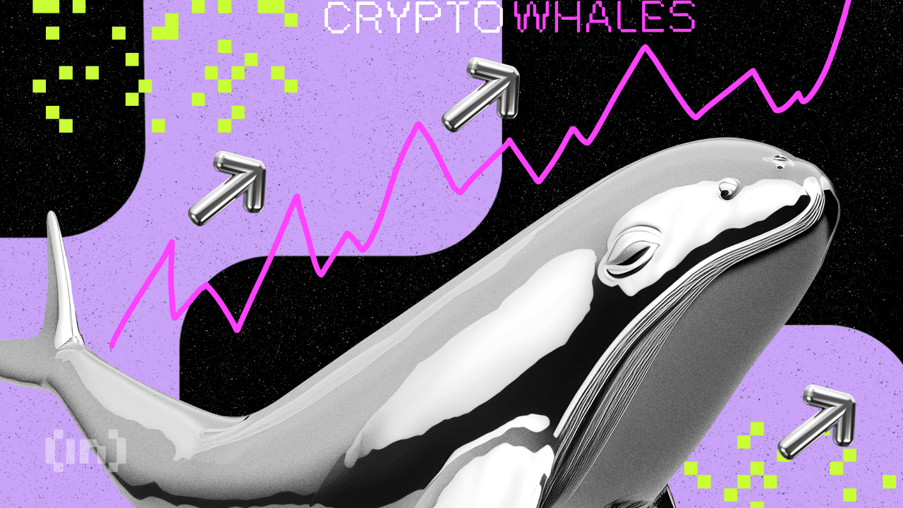Vad gjorde kryptovalrossar när Ethereum (ETH) nådde ett rekordhögt värde?