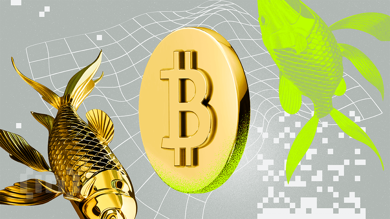 Bitcoin följer guldets uppgång med 100 dagars fördröjning under likviditetsboom, säger analytiker