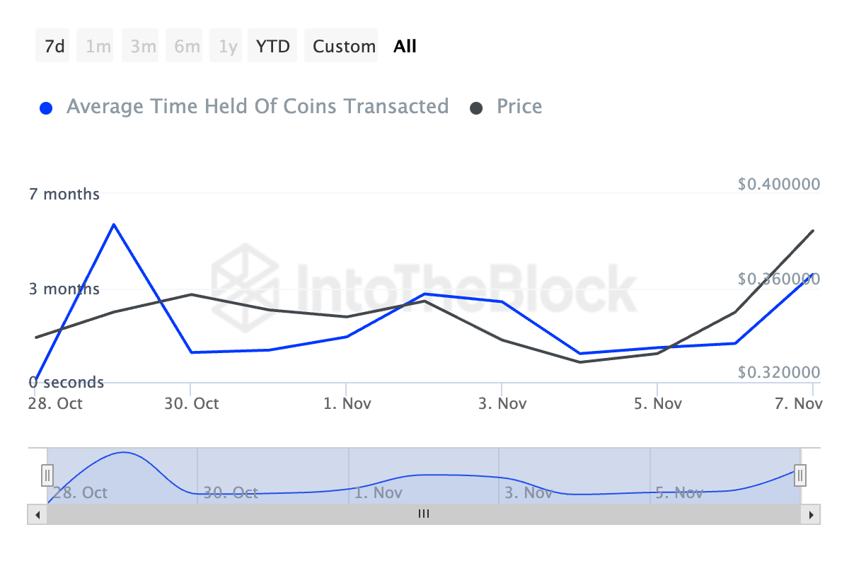 Cardano Coins Holding Time.