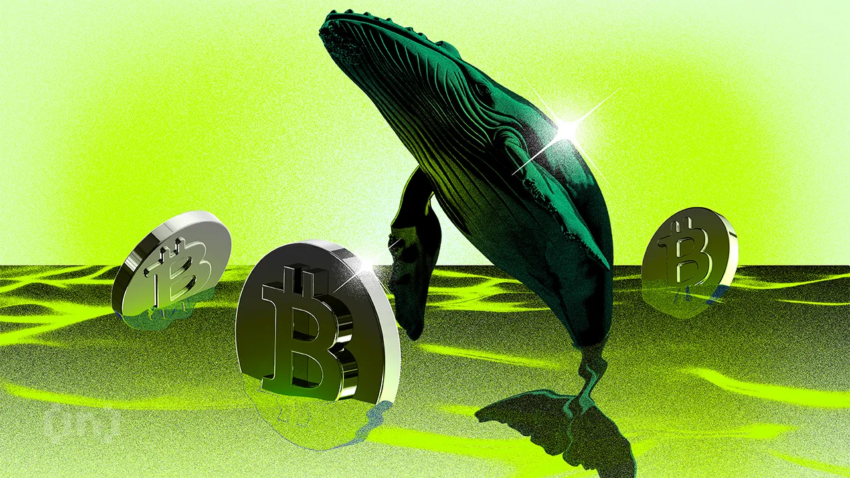 Nya Bitcoin-valar håller nu majoriteten av BTC-kapitalet | Veckans Valbevakning