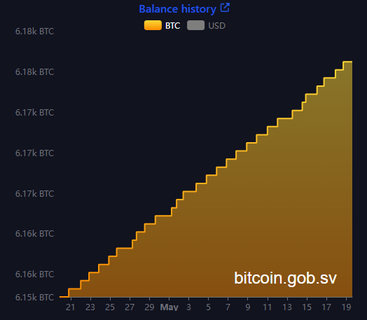 El Salvador Bitcoin-portfölj