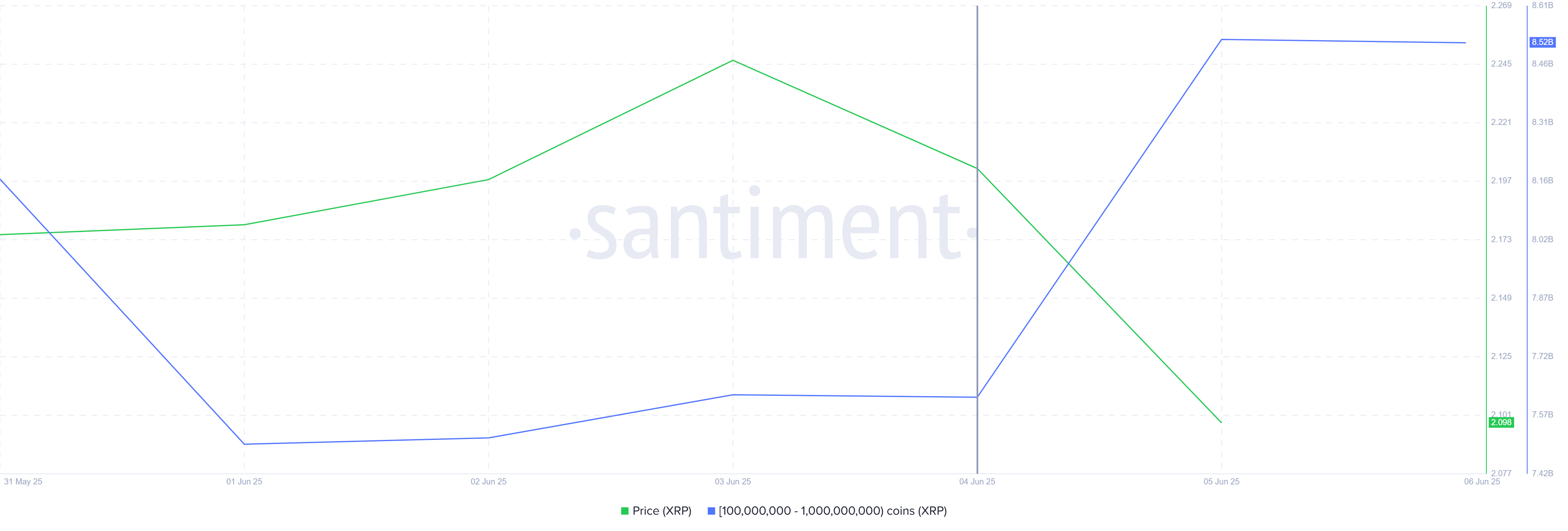 XRP Whale Accumulation