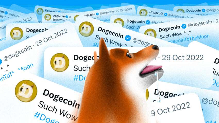 Dogecoin FOMO på väg? Augusti-katalysatorer att hålla koll på