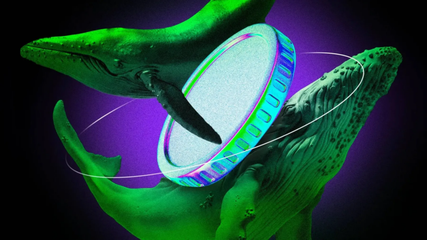 3 Altcoins som Crypto Whales köpte under första veckan i augusti 2025